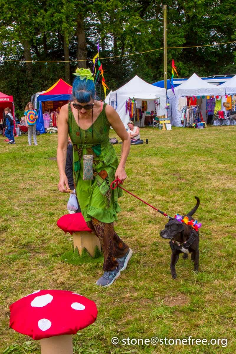 Dog and playful activity props on the festival field.