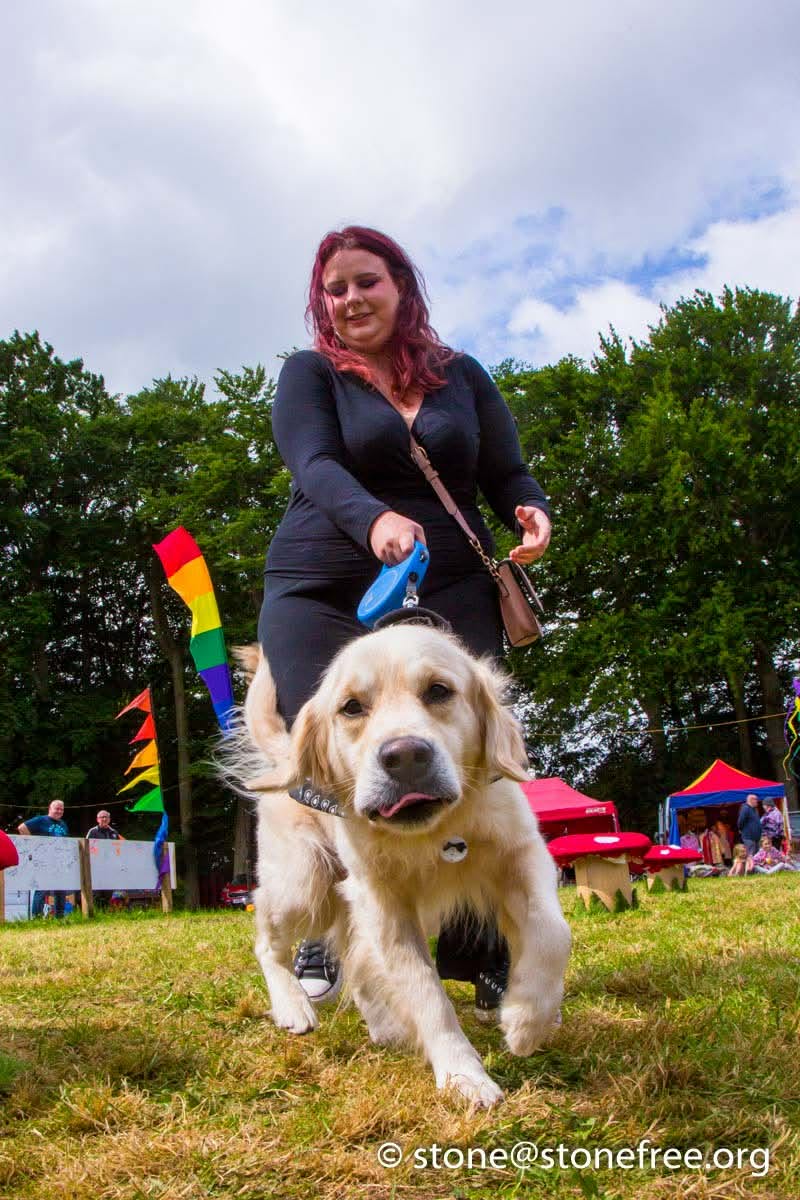 Festival dog enjoying the field with its person.
